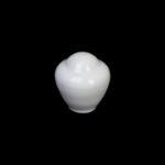 ПЕРЕЧНИЦА, белый "Corone Rosenthal"[XSY3809]
